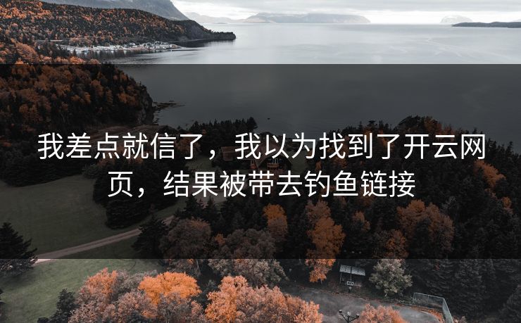 我差点就信了，我以为找到了开云网页，结果被带去钓鱼链接
